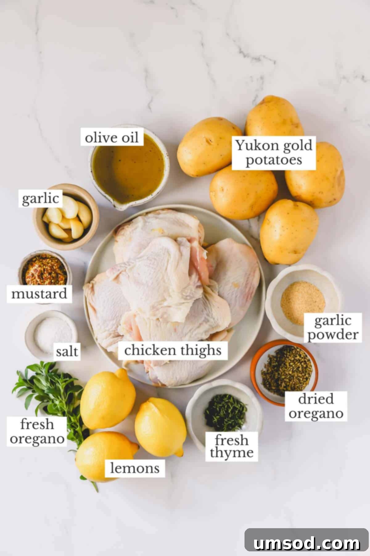 All the fresh and dry ingredients laid out to make Greek lemon chicken and potatoes.