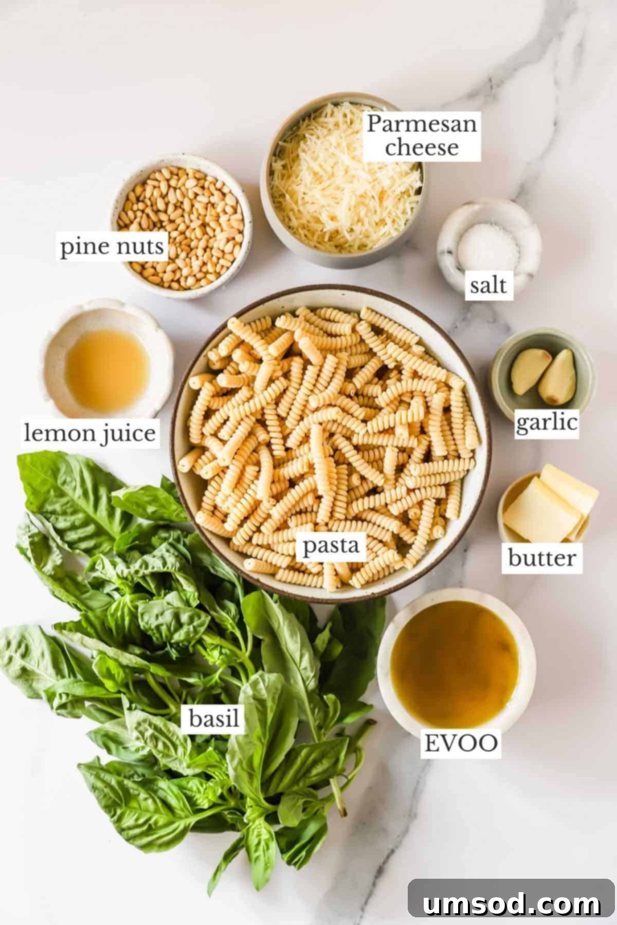 Vibrant Basil Pesto Pasta 4 Ingredients to make basil pesto pasta.