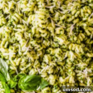 Vibrant Basil Pesto Pasta 9 Basil pesto pasta topped with parmesan and fresh basil.