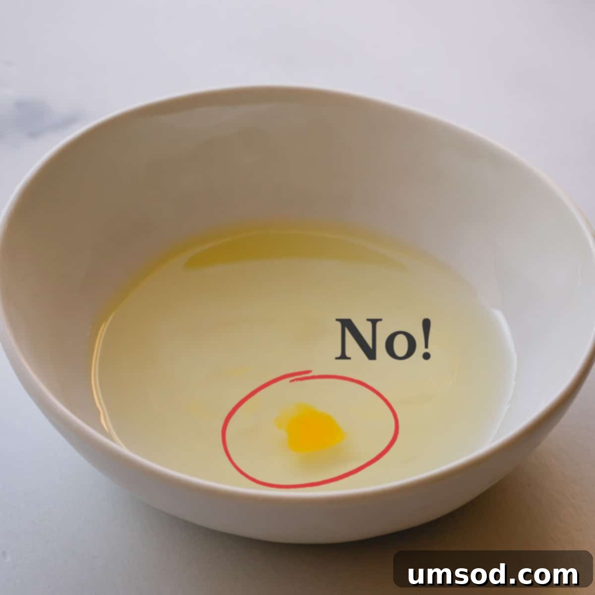 A bowl of pristine egg whites with a small, unwelcome drop of egg yolk, accompanied by a clear "NO!" indicating contamination.