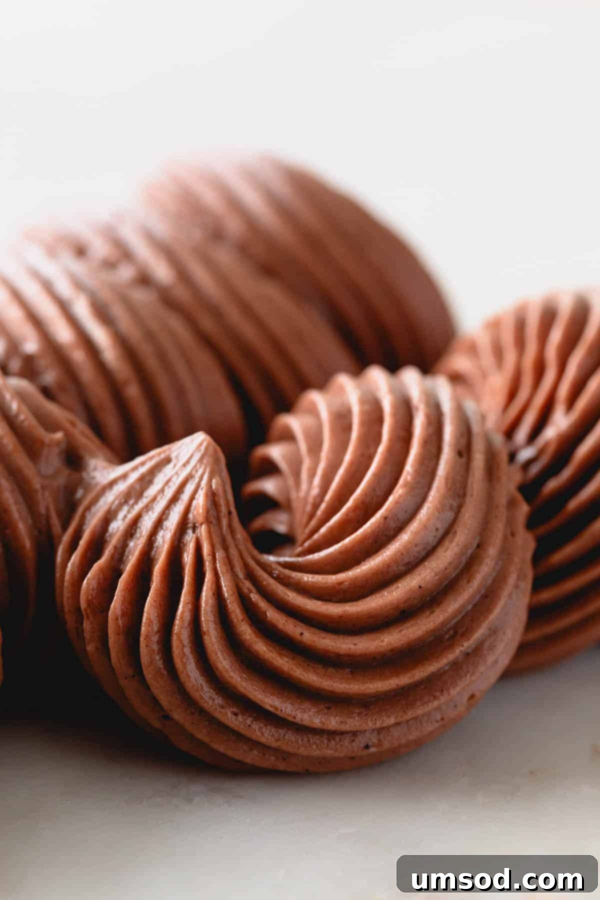 Decadent Chocolate Russian Buttercream 3 Intricately piped chocolate Russian buttercream swirls.