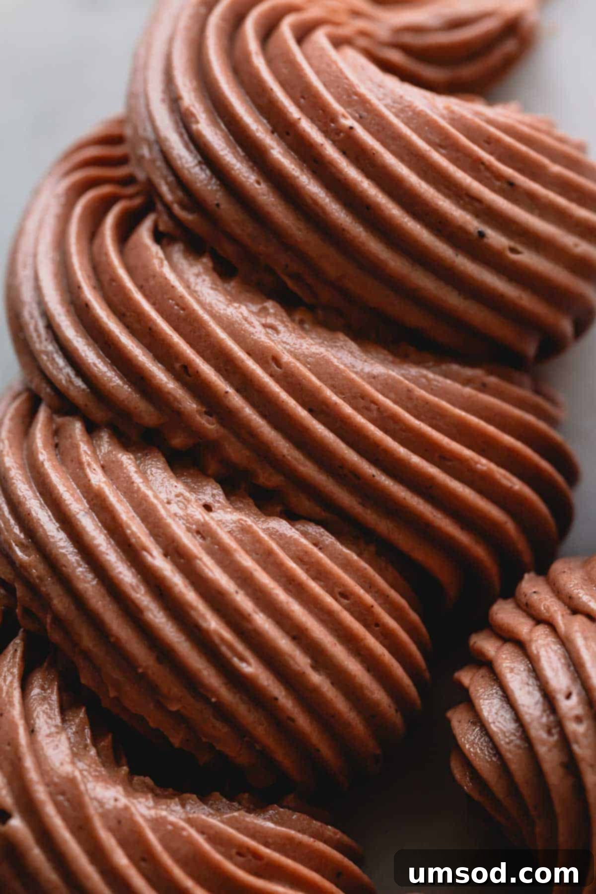 Decadent Chocolate Russian Buttercream 7 Beautifully piped chocolate Russian buttercream swirls on a surface, showcasing its ideal texture.