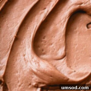Decadent Chocolate Russian Buttercream 9 Chocolate Russian buttercream.