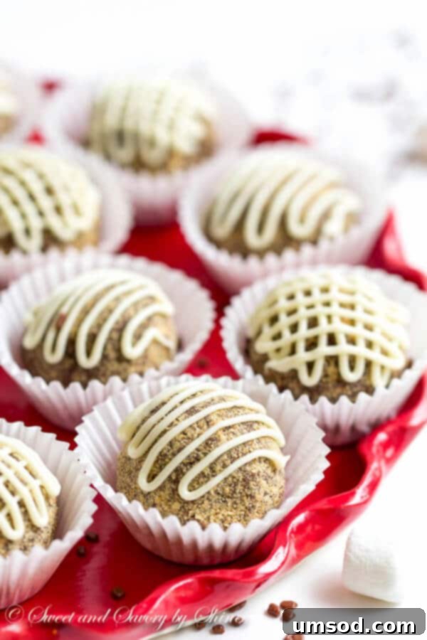 Rich and fudgy S'mores truffles, easy to make with under 5 ingredients.