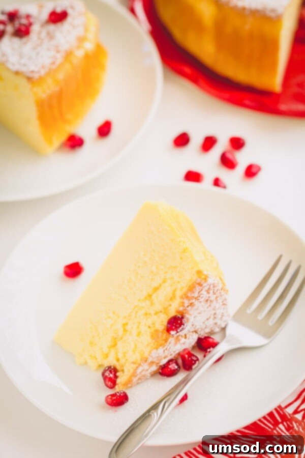 Effortless 3-Ingredient Souffle Cheesecake 5 A vibrant soufflé cheesecake adorned with fresh pomegranate seeds, emphasizing its inviting texture and deliciousness.