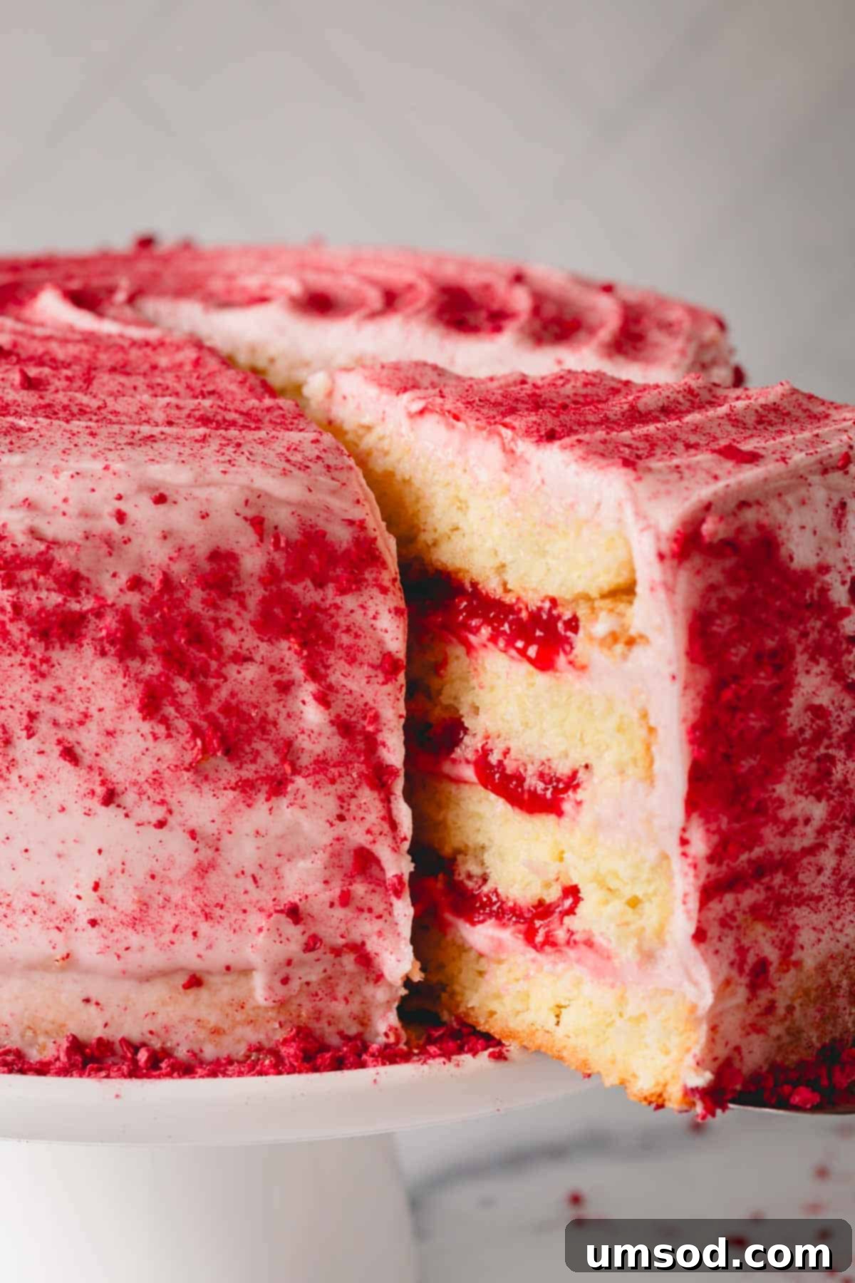 Luscious Raspberry Layer Cake 2 A beautifully decorated raspberry layered sponge cake with raspberry frosting, ready to be served.