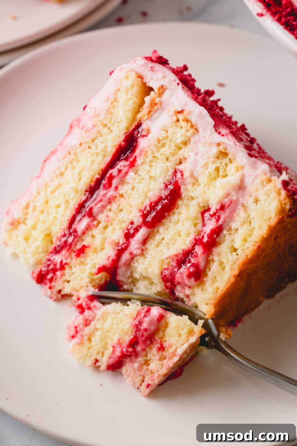 Luscious Raspberry Layer Cake 11 A close-up of a fork cutting into a slice of raspberry layer cake on a plate, showcasing its moist texture and vibrant layers.