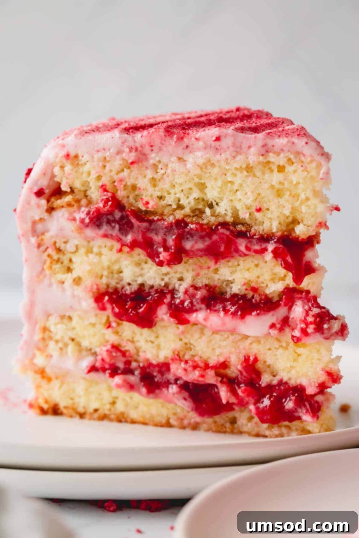 Luscious Raspberry Layer Cake 13 An upright slice of raspberry layer cake, showcasing its delicate layers of sponge, creamy frosting, and vibrant raspberry jam, beautifully presented on a plate.