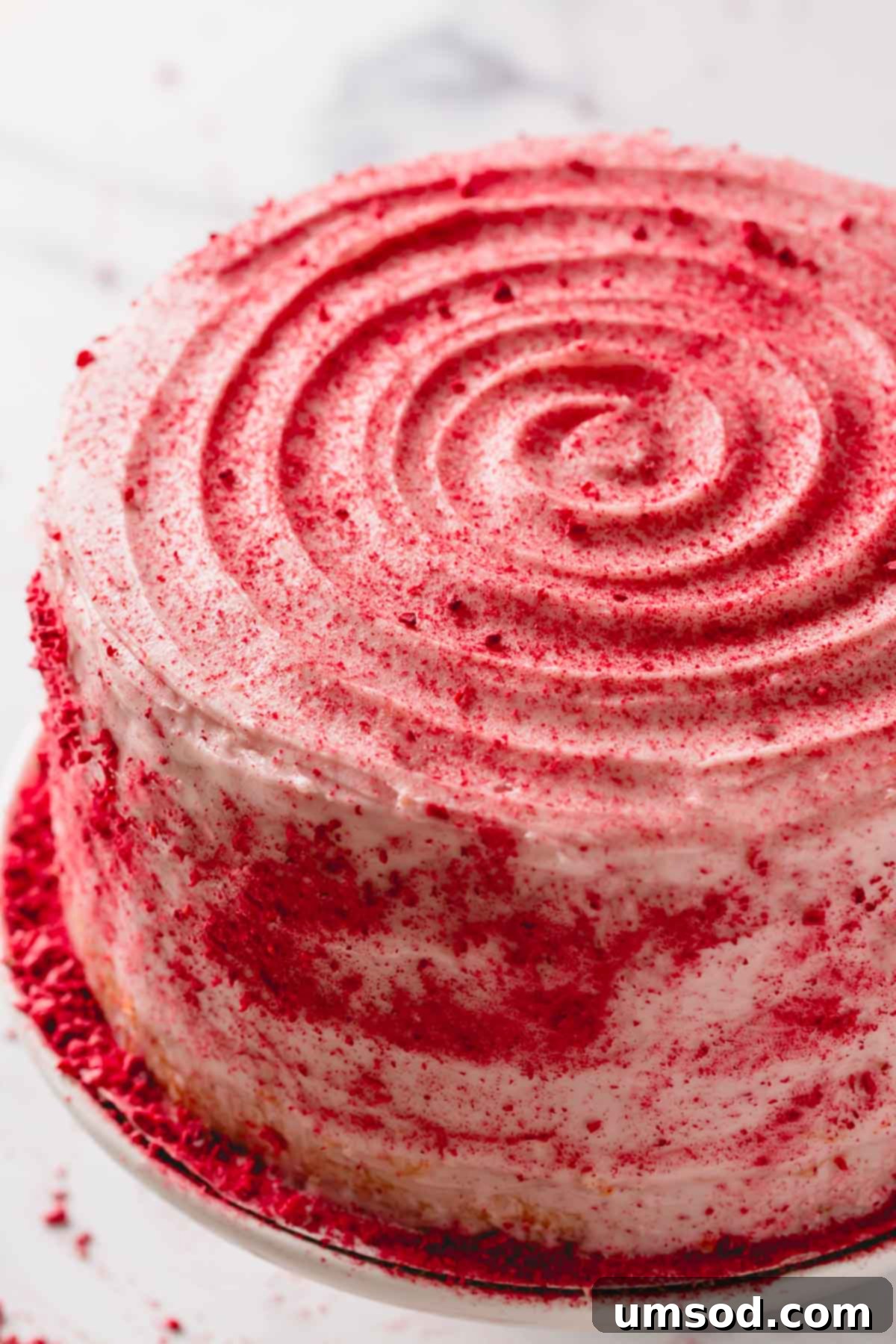 Luscious Raspberry Layer Cake 10 A fully frosted raspberry layer cake, elegantly dusted with fine raspberry crumbs for a delicate finish.