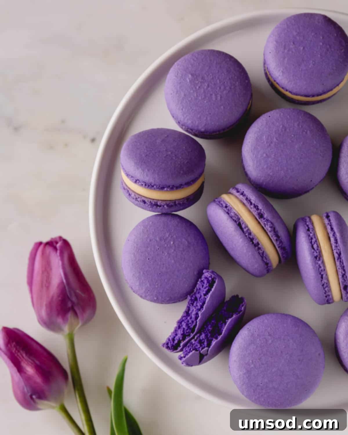 Purple macarons arranged elegantly on a white round dish, showcasing their vibrant color.