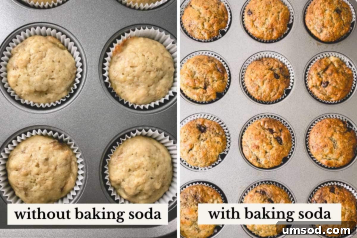 Side by side images of banana muffins, on the left pale muffins and on the right golden brown muffins, illustrating the effect of baking soda on browning.