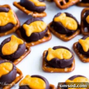 Choco-Goldfish Crunch 6 Finished Chocolate Goldfish Cracker Bites, beautifully arranged for serving