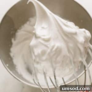 A whisk lifting fluffy vegan meringue from a mixing bowl.