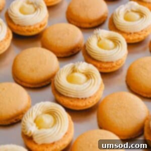 Simple Lemon Curd Recipes 3 Lemon macaron shells with a ring of buttercream and lemon curd in the center.