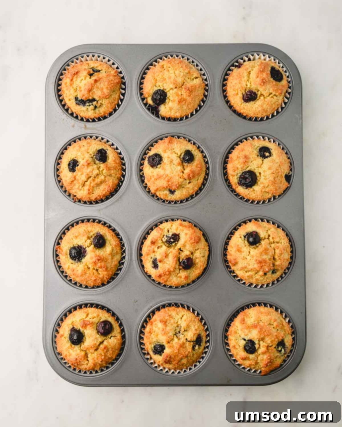 Tender Almond Flour Blueberry Muffins 12 Baked almond flour blueberry muffins in a muffin pan.