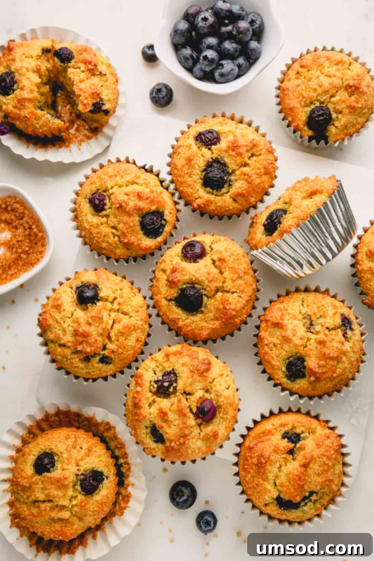 Tender Almond Flour Blueberry Muffins 13 Almond flour blueberry muffins in muffin liners.