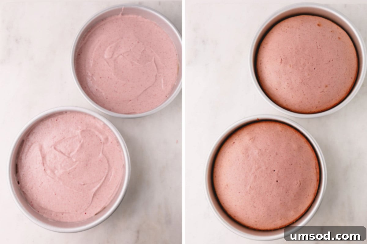 Berry Sweet Symphony 13 Two round cake pans with strawberry cake batter and then baked.
