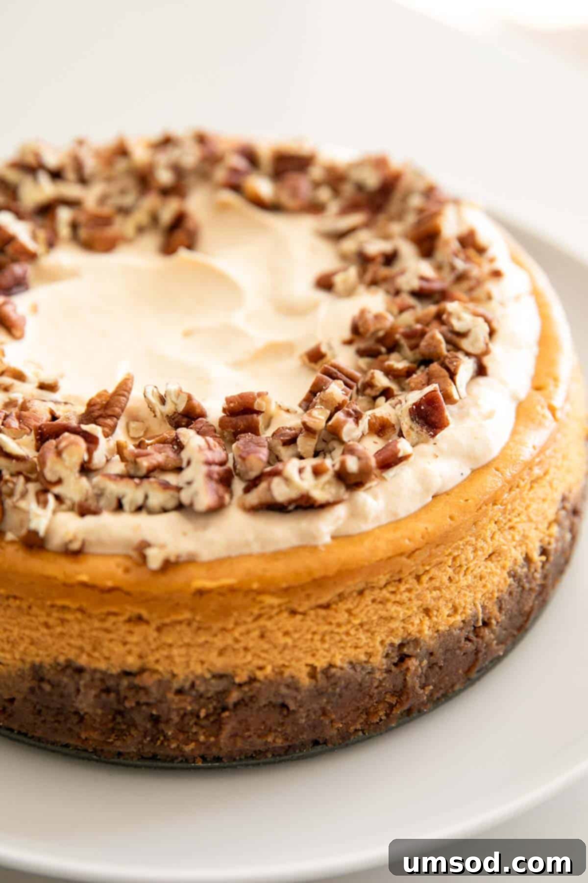A stunning maple pumpkin cheesecake adorned with maple frosting and chopped pecans.