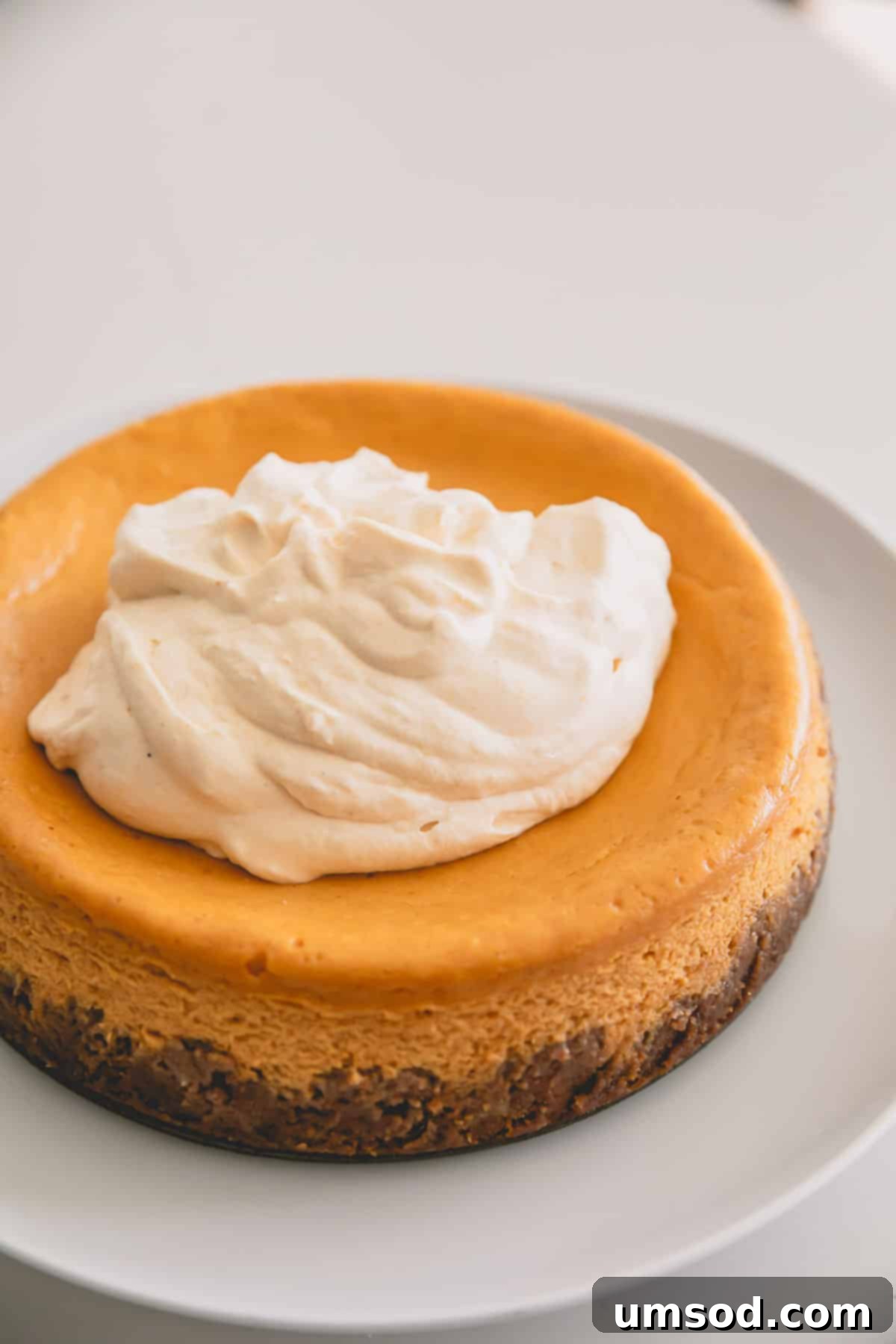 Maple topping dolloped in the center of a maple pumpkin cheesecake.