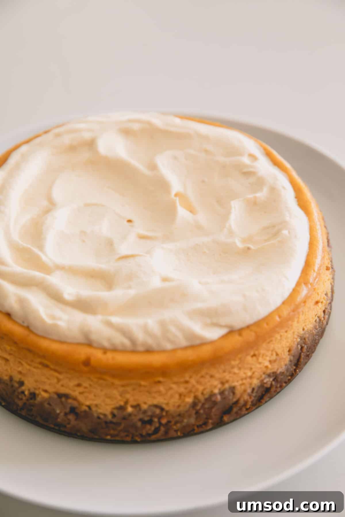 A beautiful maple pumpkin cheesecake generously topped with creamy maple frosting.
