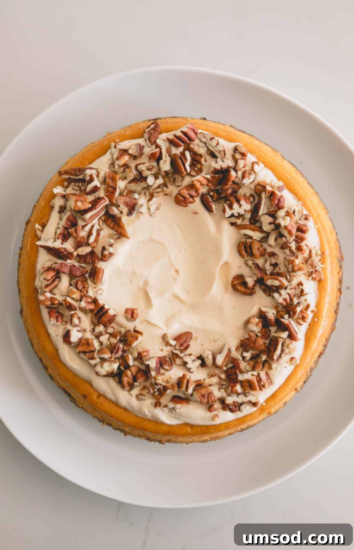 A delightful maple pumpkin cheesecake garnished with maple frosting and chopped pecans.