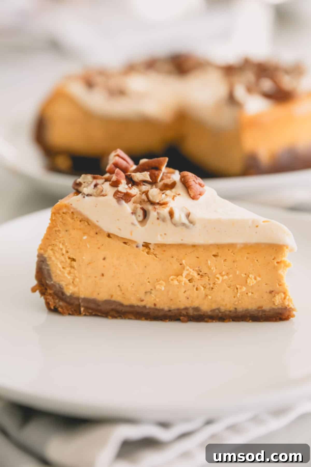 A slice of maple pumpkin cheesecake, perfectly topped with pecans.