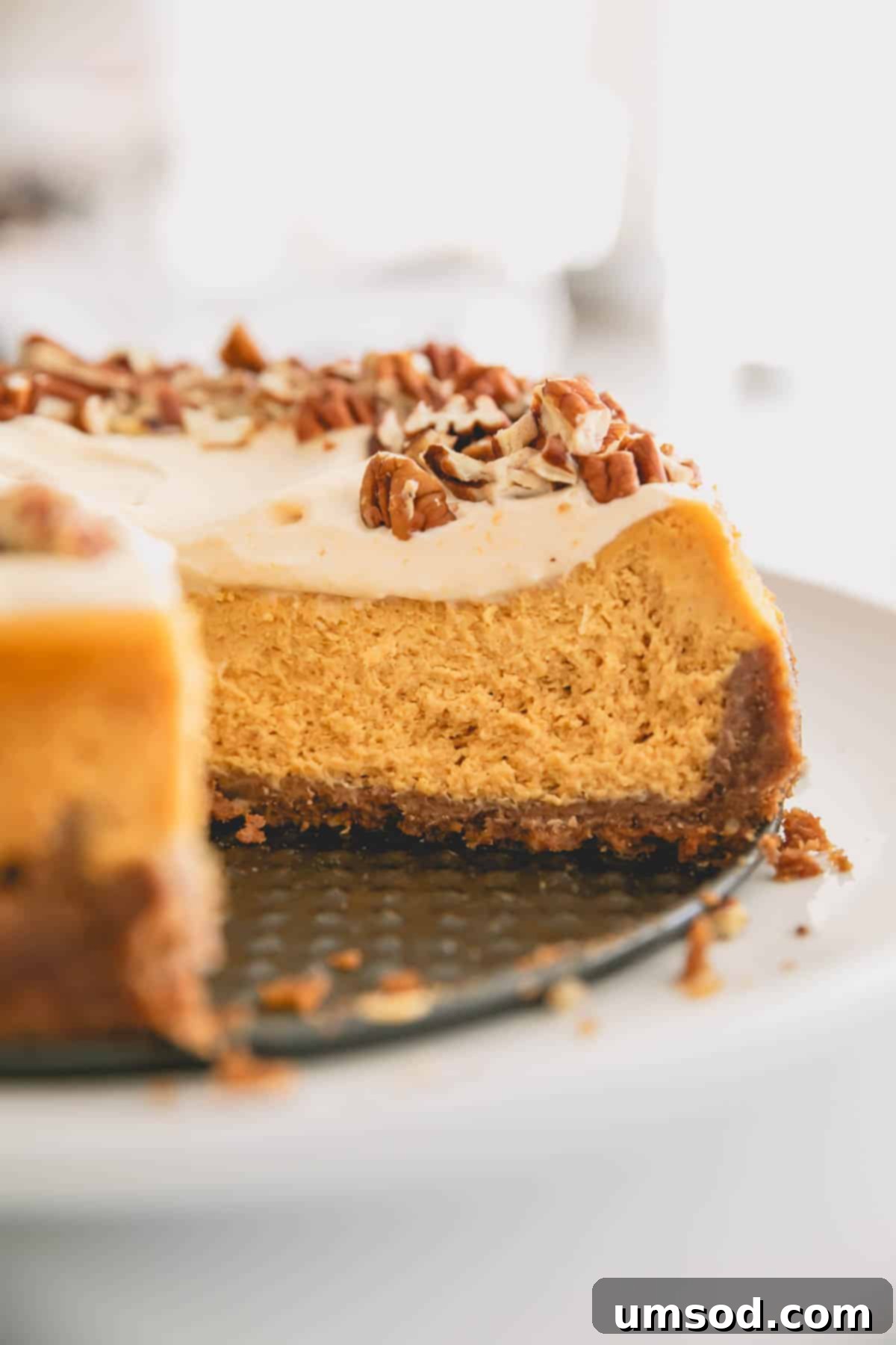 A tempting slice missing from a perfectly baked maple pumpkin cheesecake.