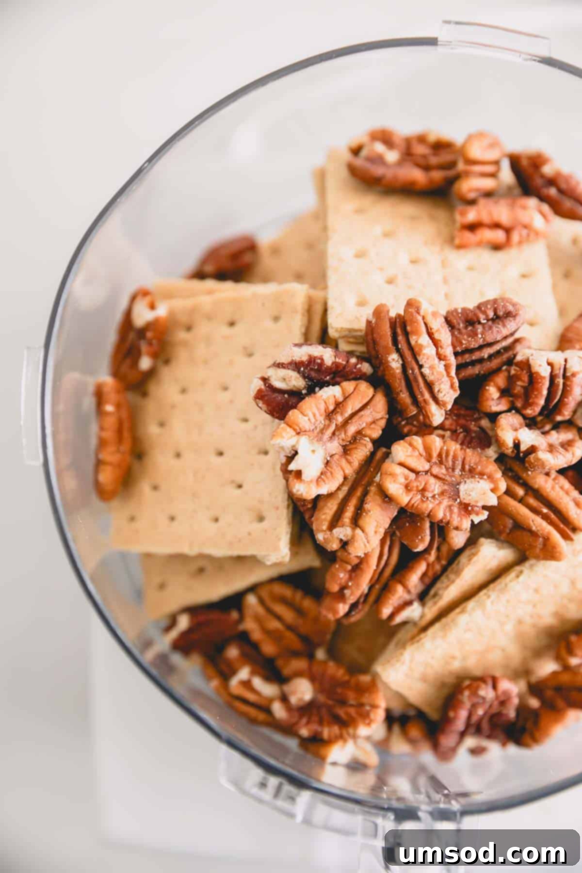 Graham crackers and pecans being processed in a food processor.