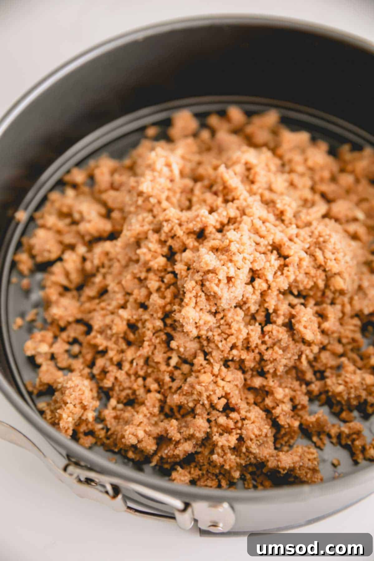 A mound of graham cracker mixture within a springform pan.