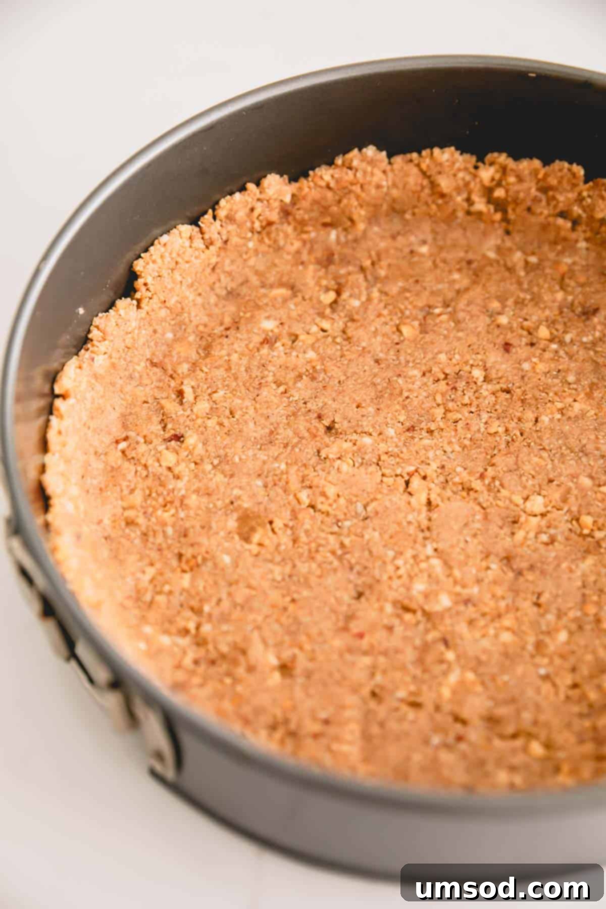 A graham cracker crust neatly pressed into the bottom of a springform pan.