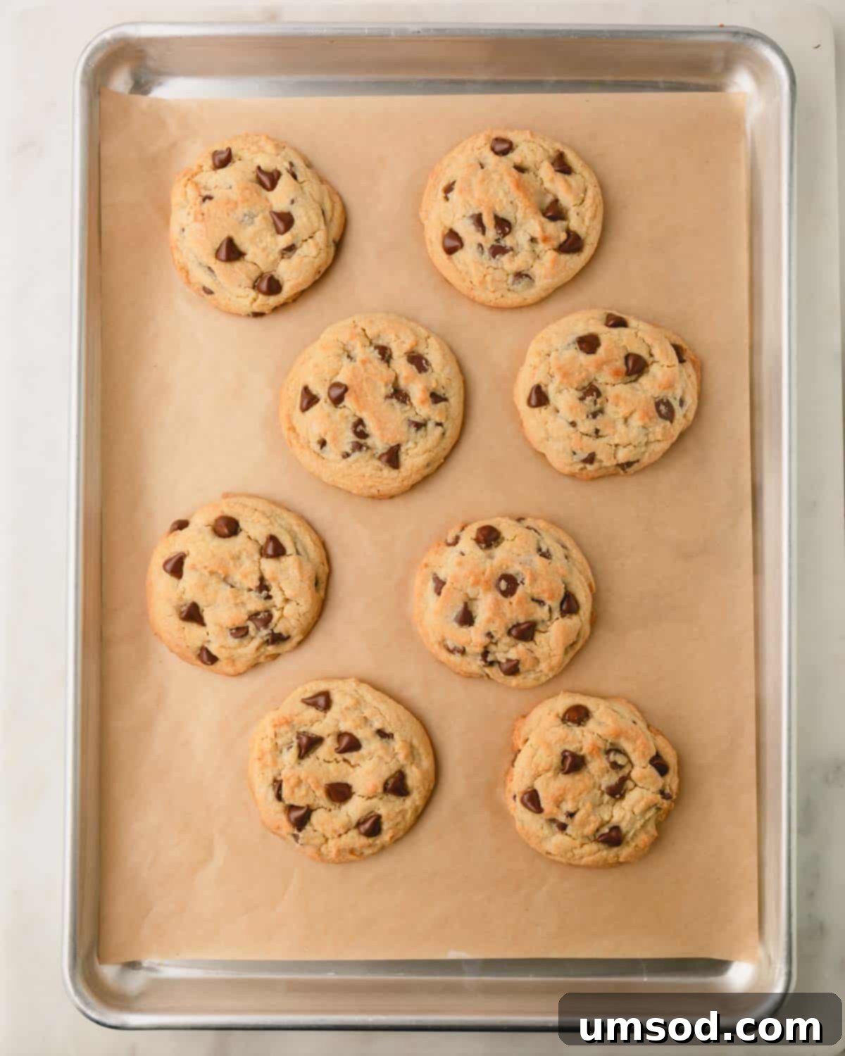Eight thick and chewy chocolate chip cookies on a baking sheet after baking.