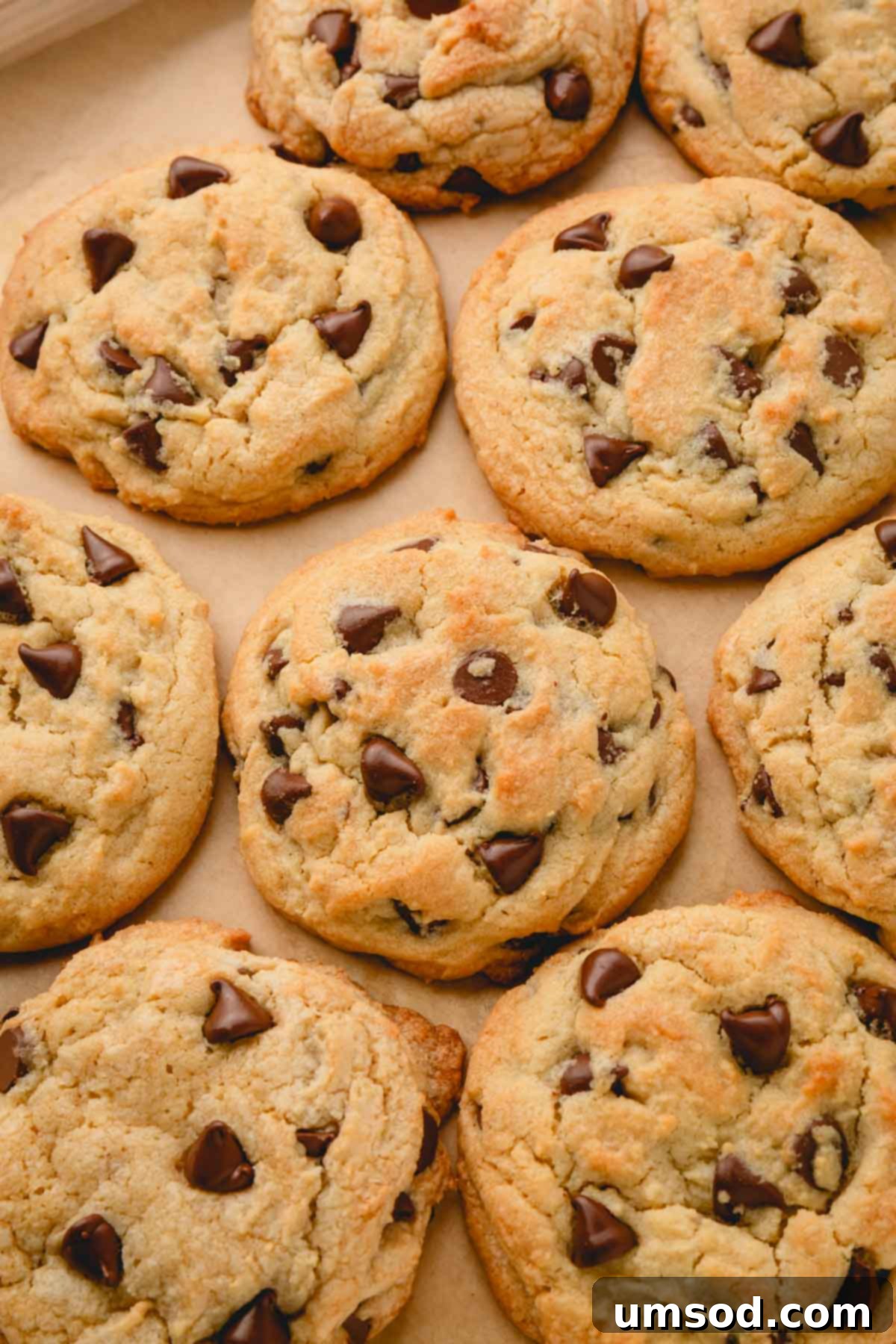 Several thick and chewy chocolate chip cookies on a parchment paper-lined baking sheet.