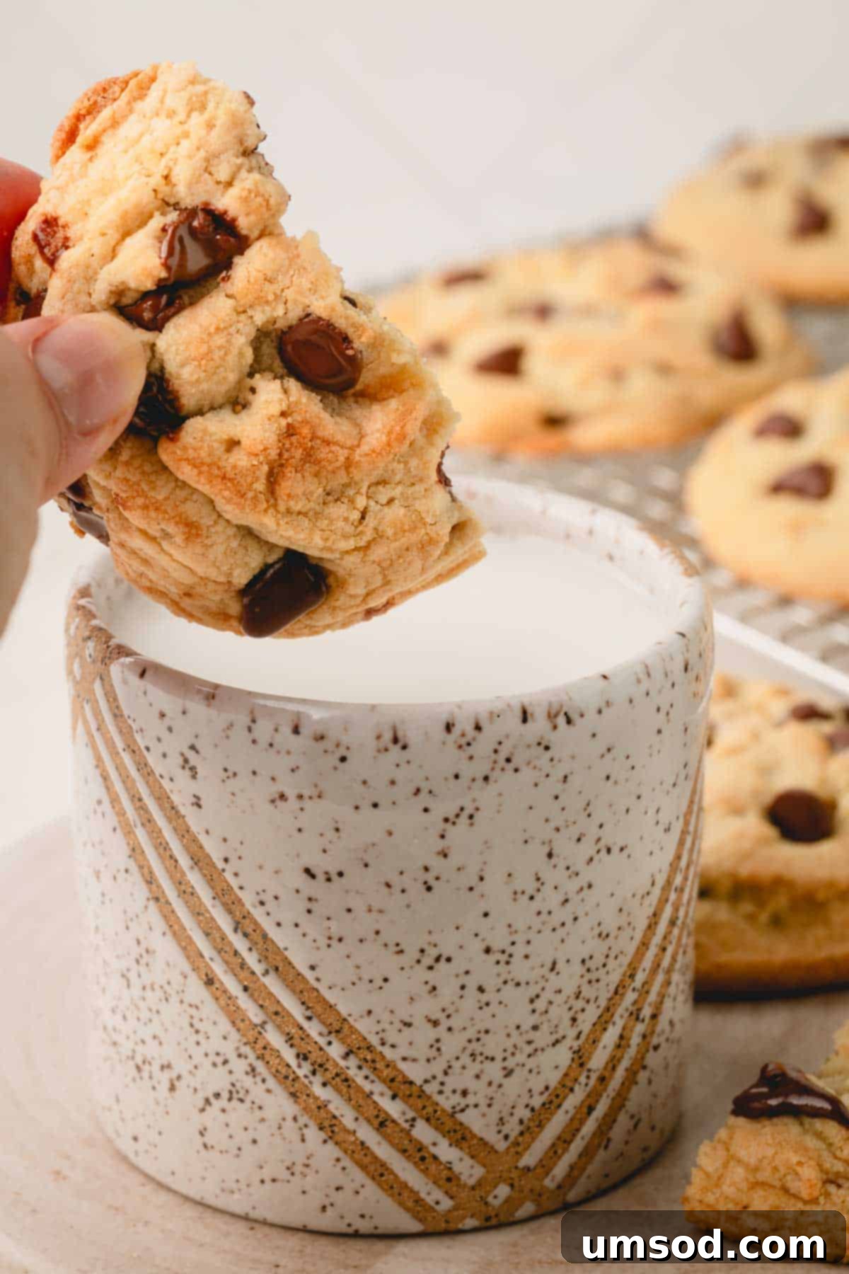 Half a thick and chewy chocolate chip cookie being dunked into a glass of milk.