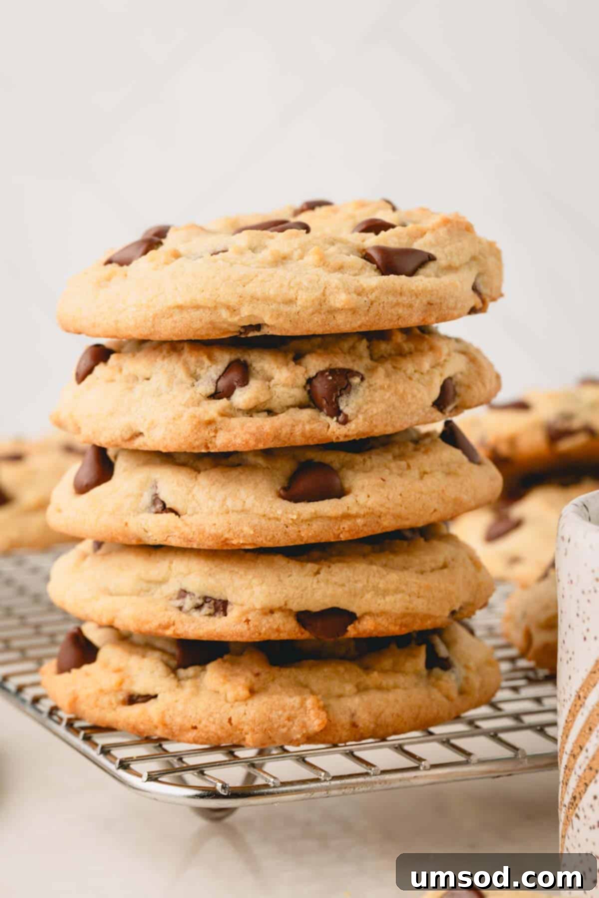 A stack of delicious thick and chewy chocolate chip cookies.