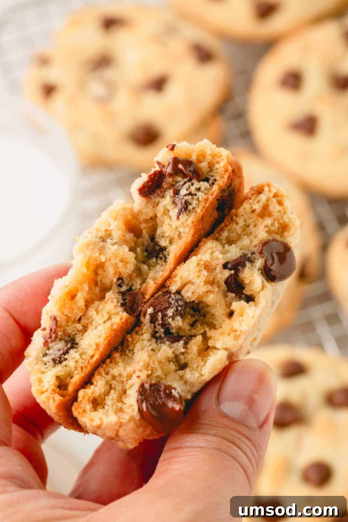 A hand breaking a thick and chewy chocolate chip cookie in half.
