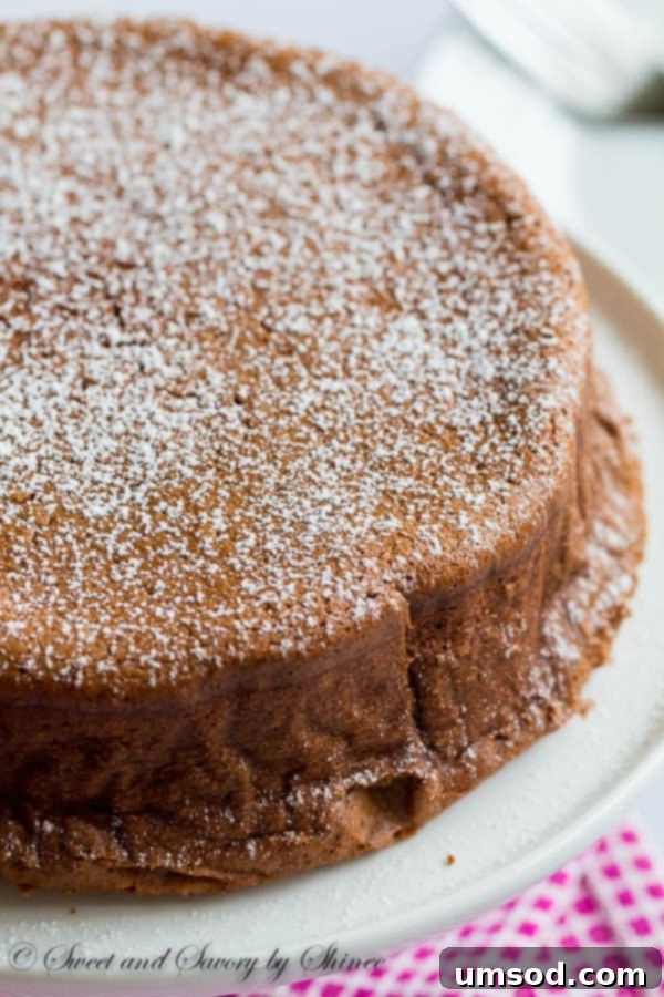 Make this delicious chocolate soufflé cheesecake with just 3 pantry staples. Perfect treat for your special Valentine.
