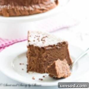 3-Ingredient Chocolate Souffle Cheesecake