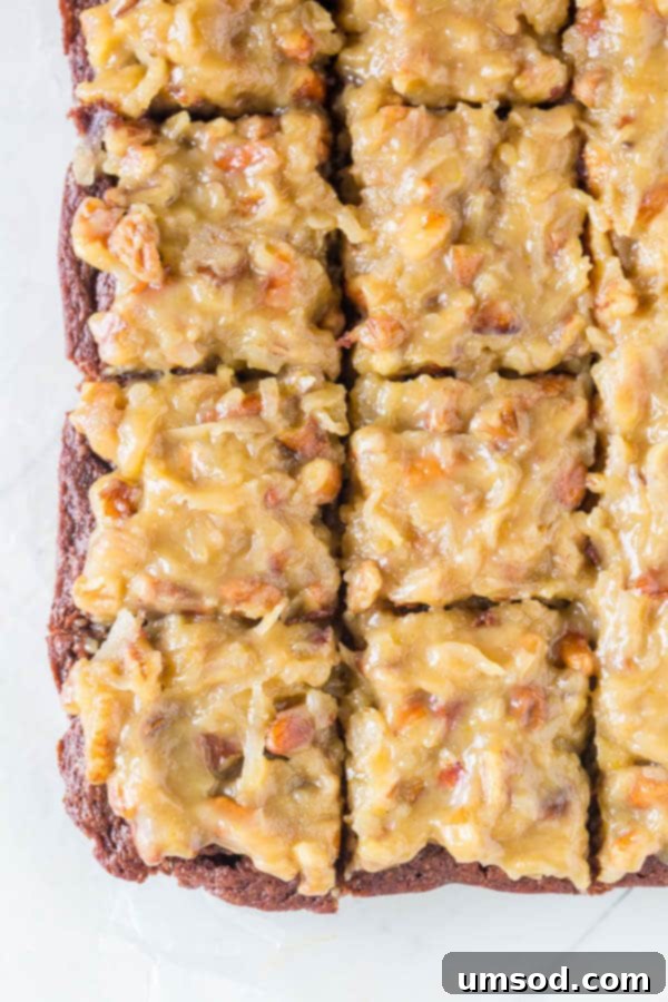 Close-up of a German Chocolate Brownie, showcasing the rich chocolate and textured frosting