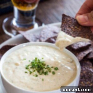 Appetizing beer cheese dip in a small white bowl, garnished with fresh chives.
