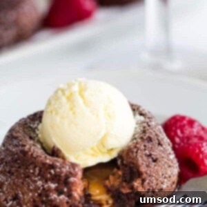 Gooey Caramel Lava Bites 7 Mini Caramel Lava Cakes hero shot