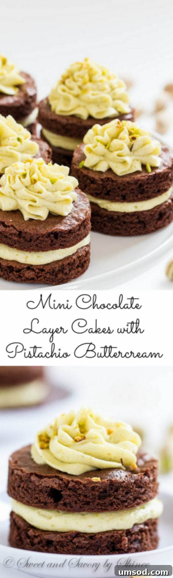 Close-up of a beautifully assembled mini chocolate layer cake with pistachio buttercream, showcasing the distinct layers and vibrant green frosting.