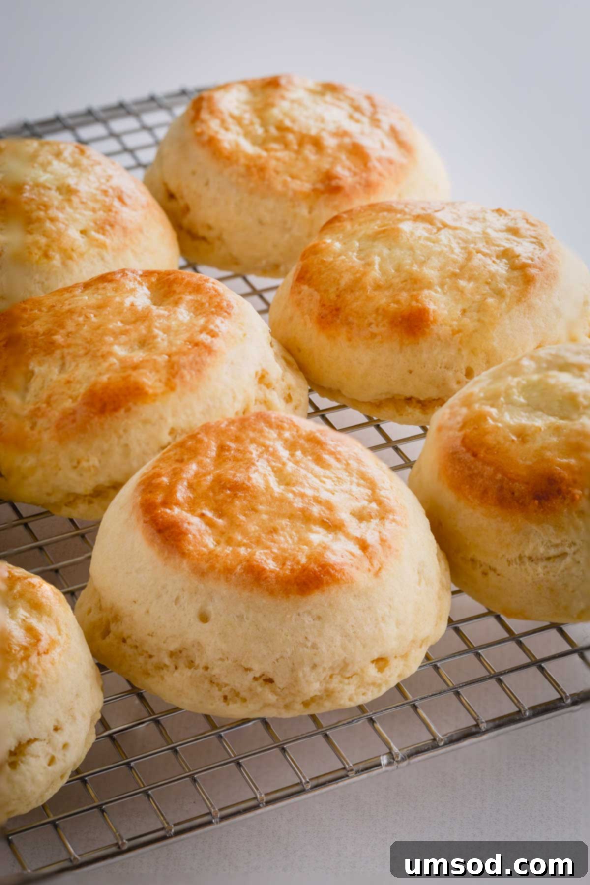 Golden brown scones cooling on a wire rack.