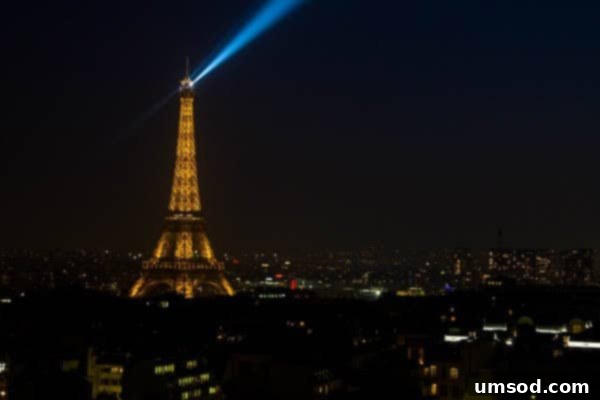 Eiffel Tower View from Arc de Triomphe