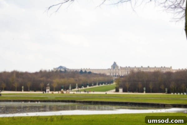 Versailles Gardens: Tranquil Winter Landscape