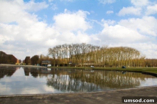 Palace of Versailles Gardens: Grand Perspectives