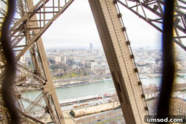 Eiffel Tower Stairs: Views from the Ascent