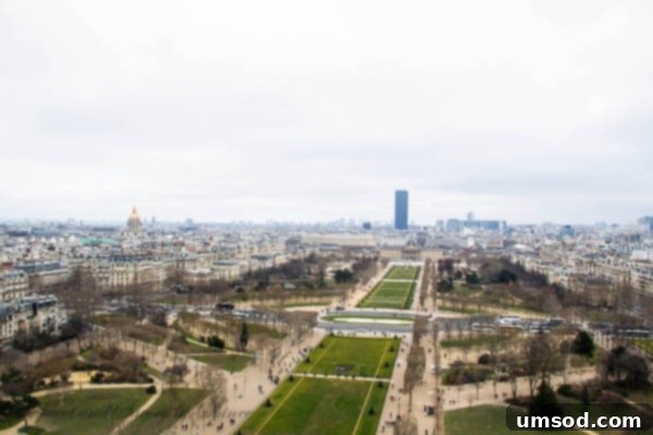 Eiffel Tower Views: Paris from the Second Floor