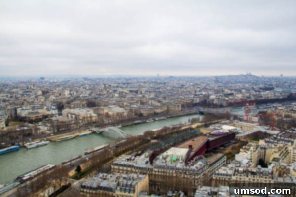 Paris Skyline from Eiffel Tower
