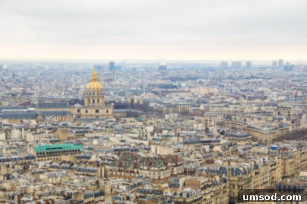 Eiffel Tower Observation Deck