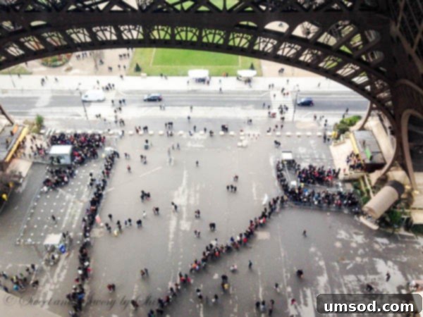 Long Queue for Eiffel Tower Entrance